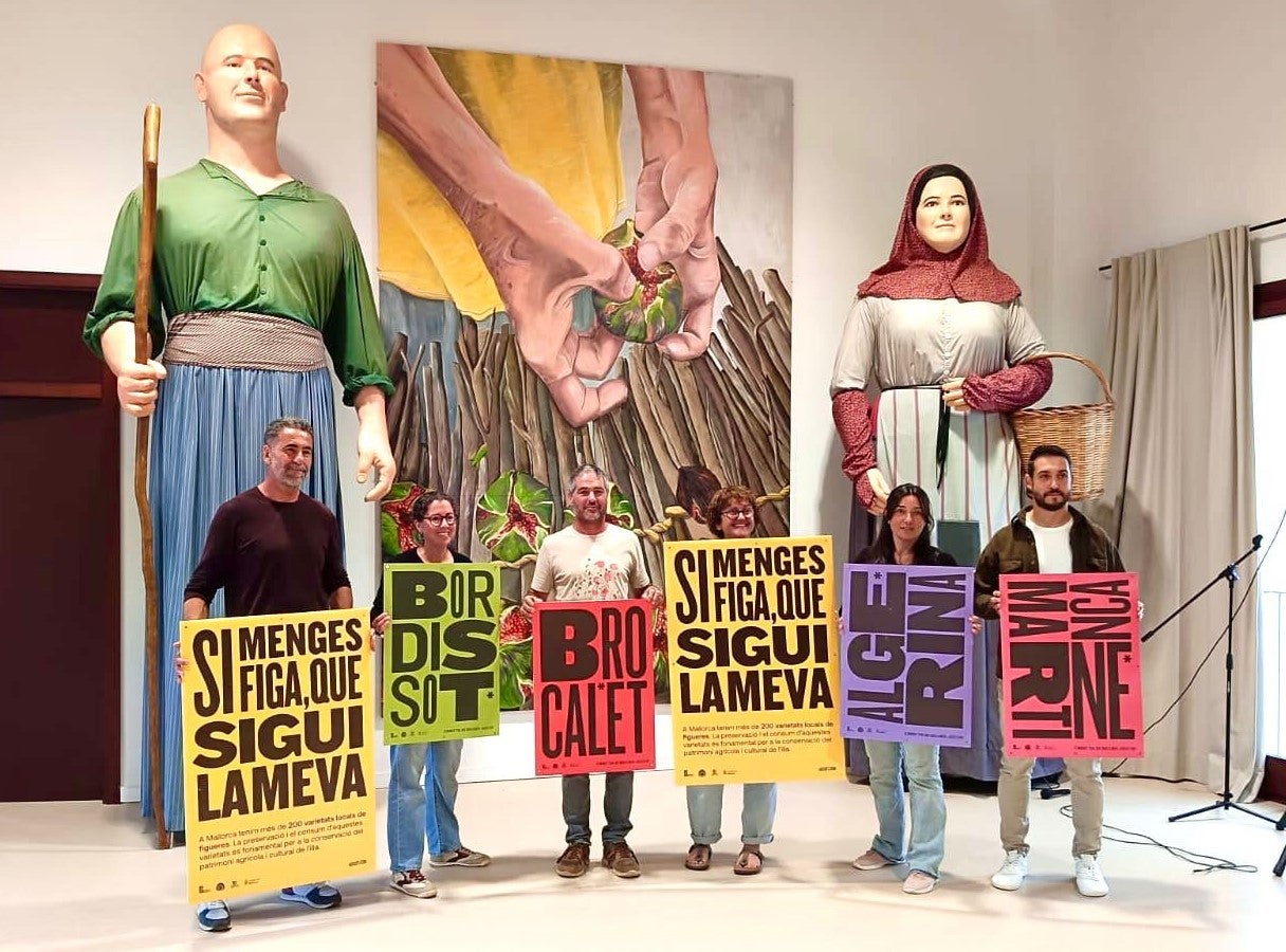  La campanya va dirigida a promoure el consum de figues cultivades a Mallorca i els seus derivats/ARCUFI