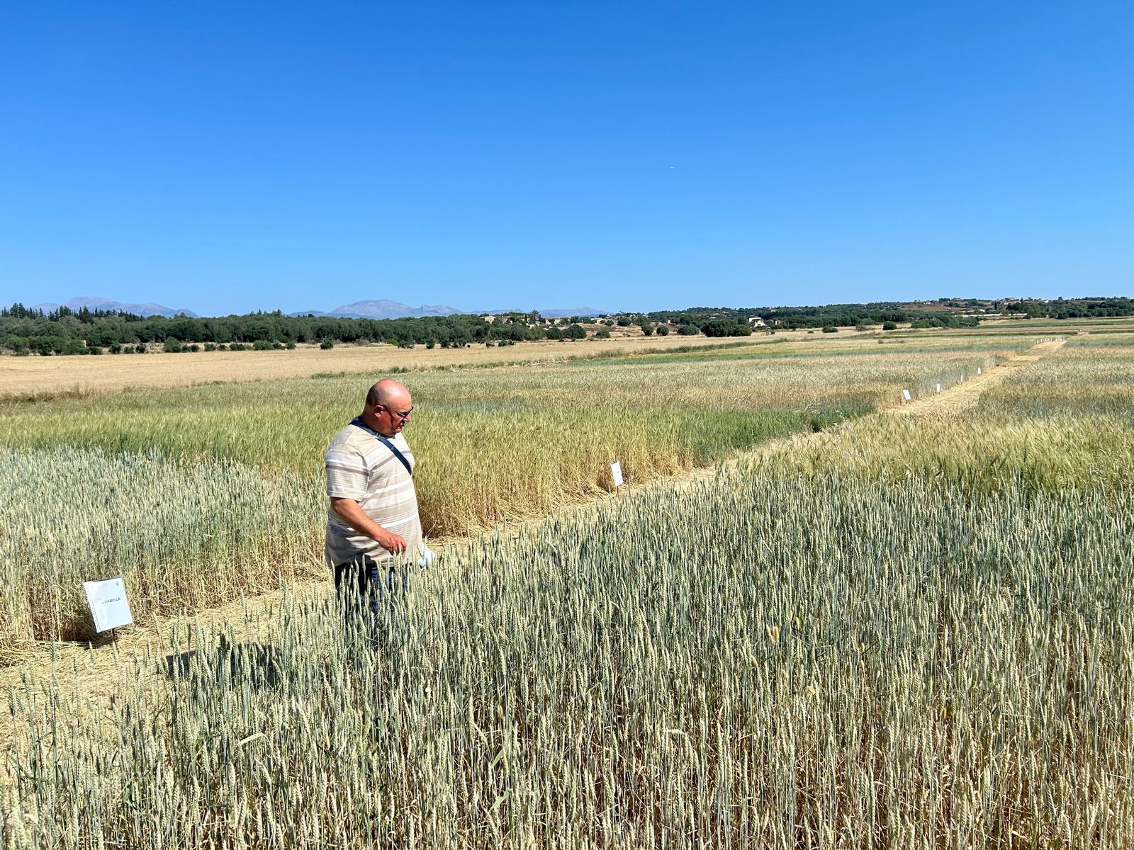 Els cerealistes veuen compromesa la rendibilitat de la campanya a causa de la pujada del cost de producció/ASAJA
