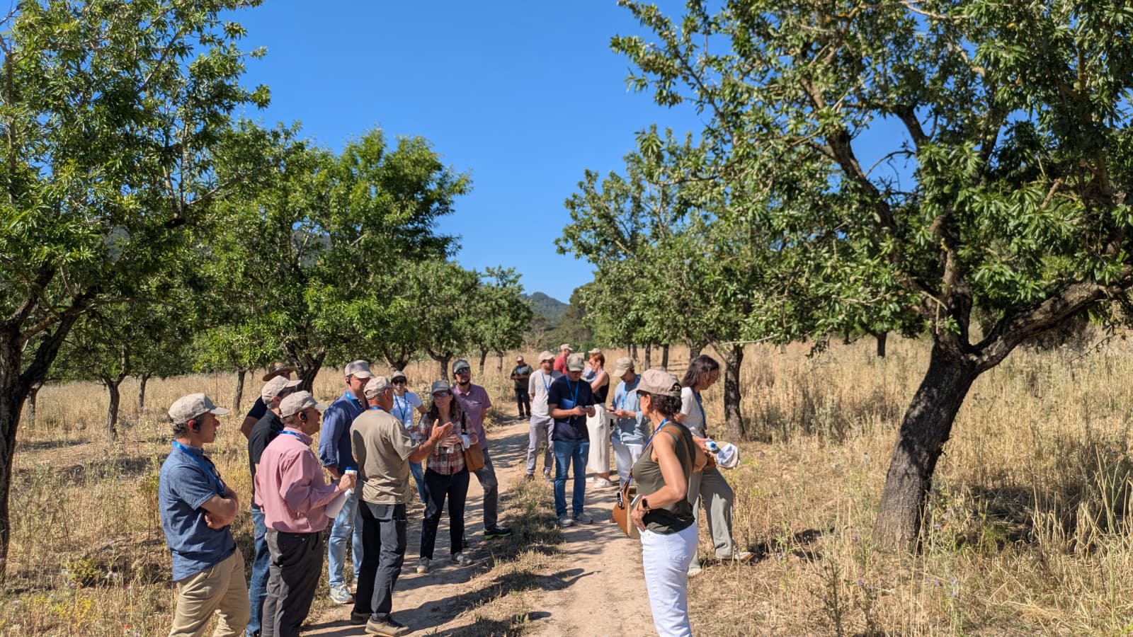 Durant la jornada, es visità una de les explotacions de Mallorca que participa en aquest projecte i la indústria de transformació d'ametlla de Camp Mallorquí/Cooperatives Agroalimentàries