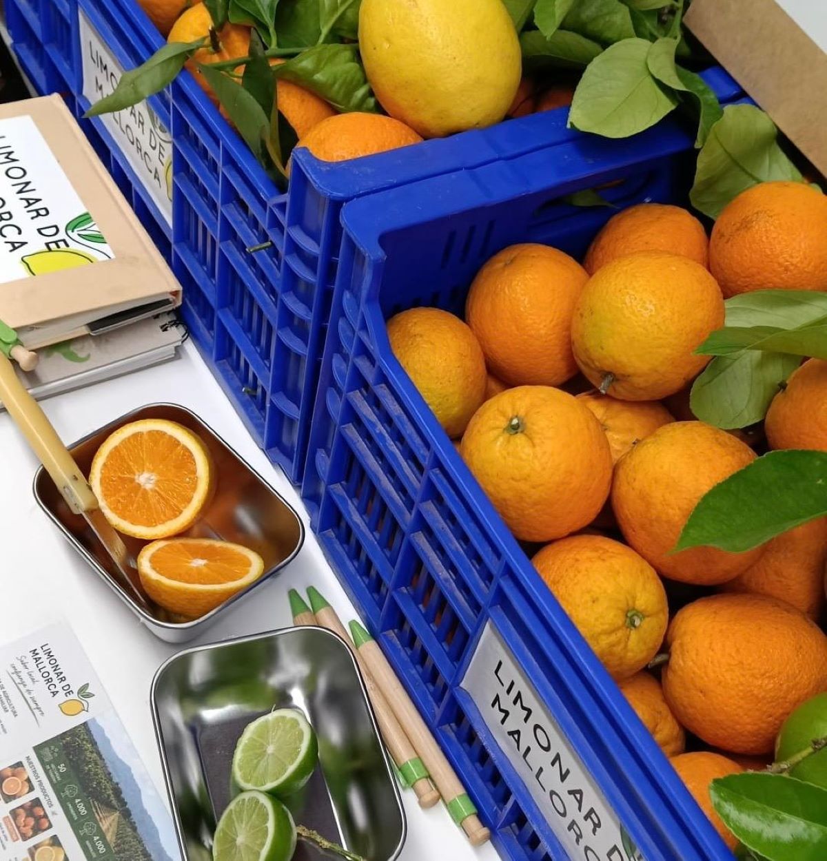 Els nous plecs dels menjadors escolars estableixen requisits mínims del 10 % de producte local i del 10 % de producte ecològic/CAIB