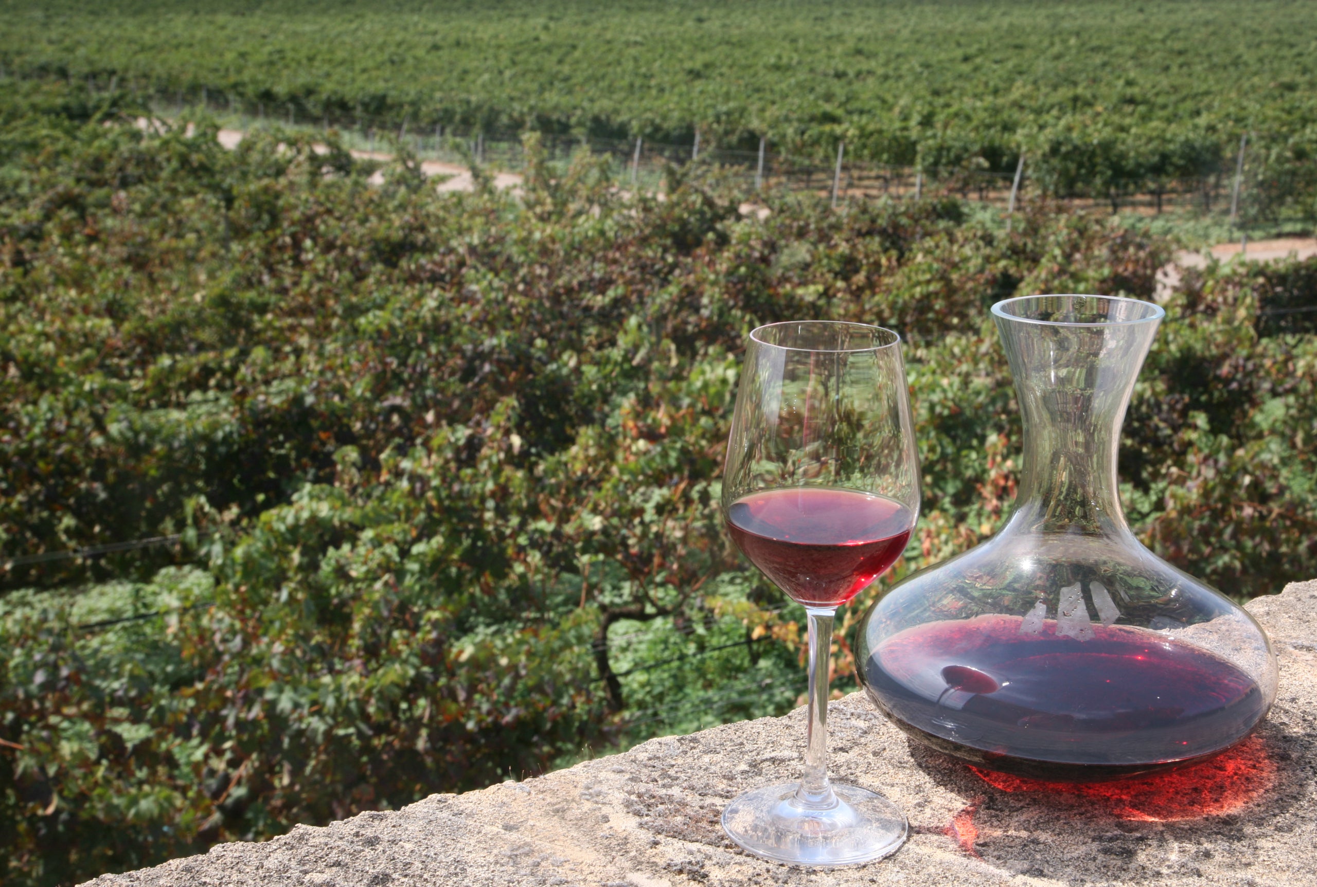 Es convocarà una Mesa de Comercialització específica per abordar els principals reptes i oportunitats en la comercialització dels vins de les Illes Balears/CAIB