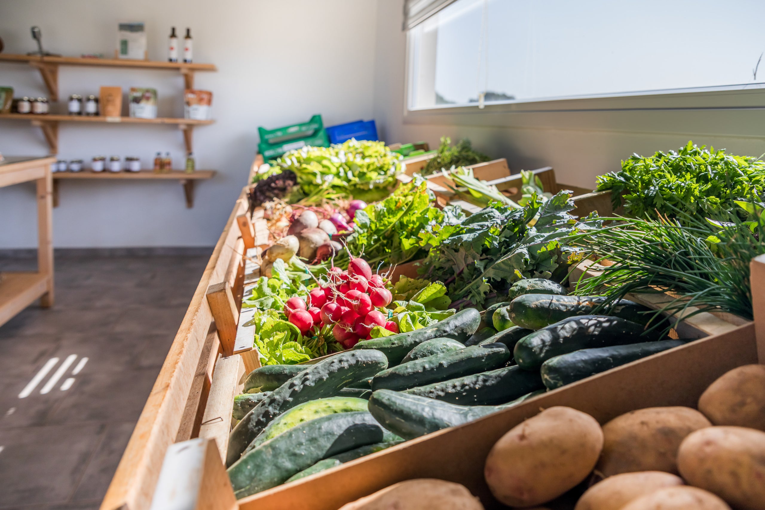 La Fira de Productes Agraris Ecològics de Menorca reivindica el valor dels productors locals / Cedida