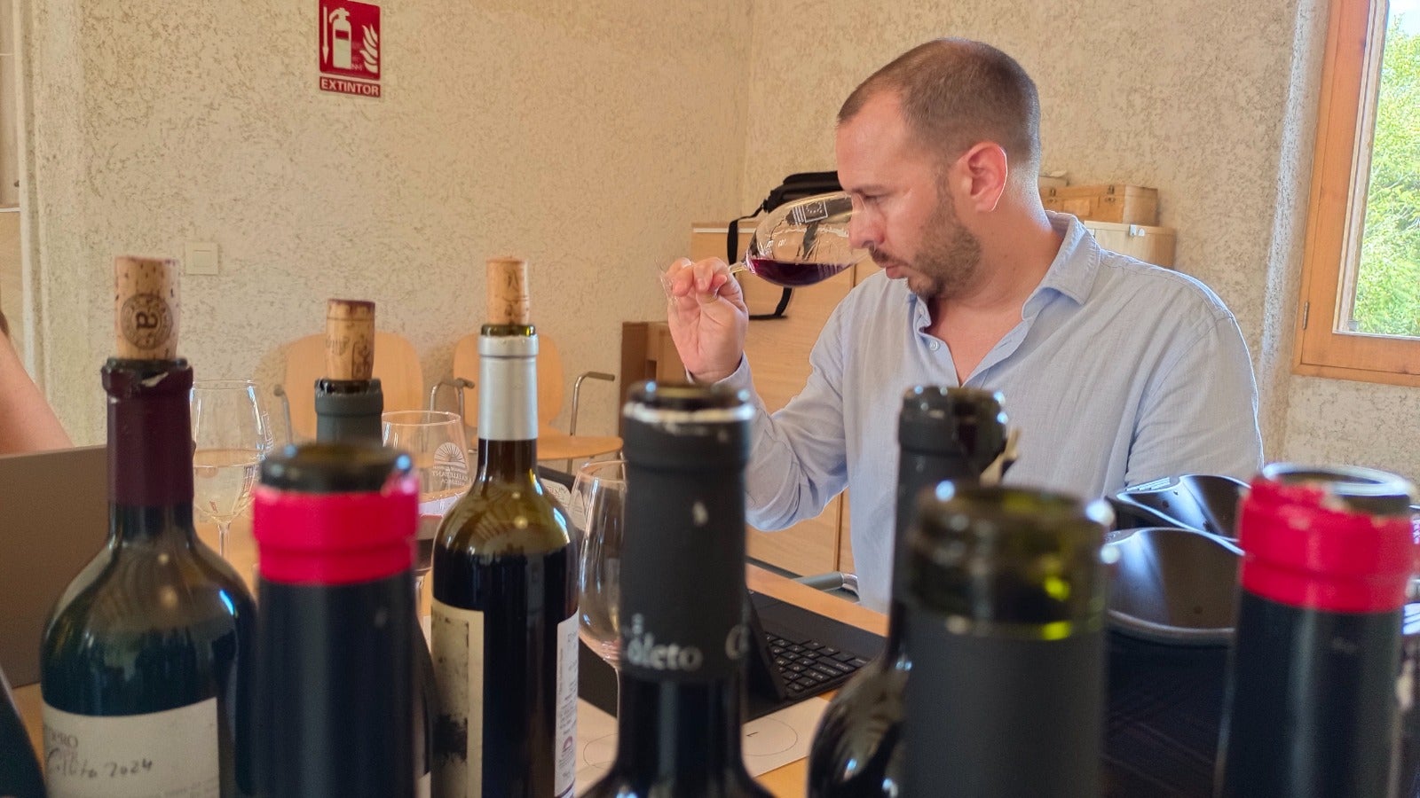 Hi ha tres vins que han assolit 93 punts, la puntuació més alta aconseguida dins la denominació en aquest tast/DO Pla i Llevant