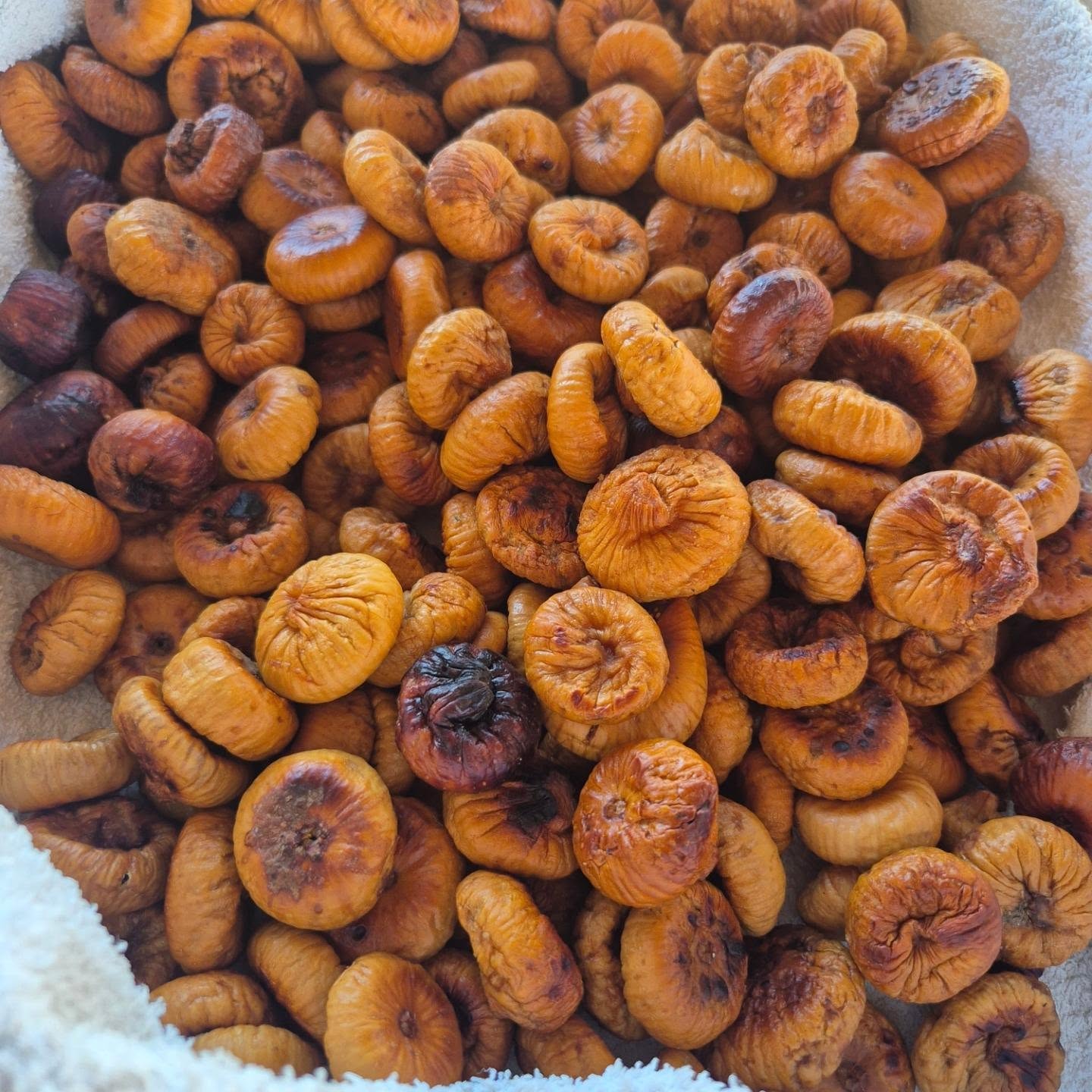 Figues seques, un bàsic en la dieta mallorquina d'hivern en temps passats/Rafel Juan Orell 