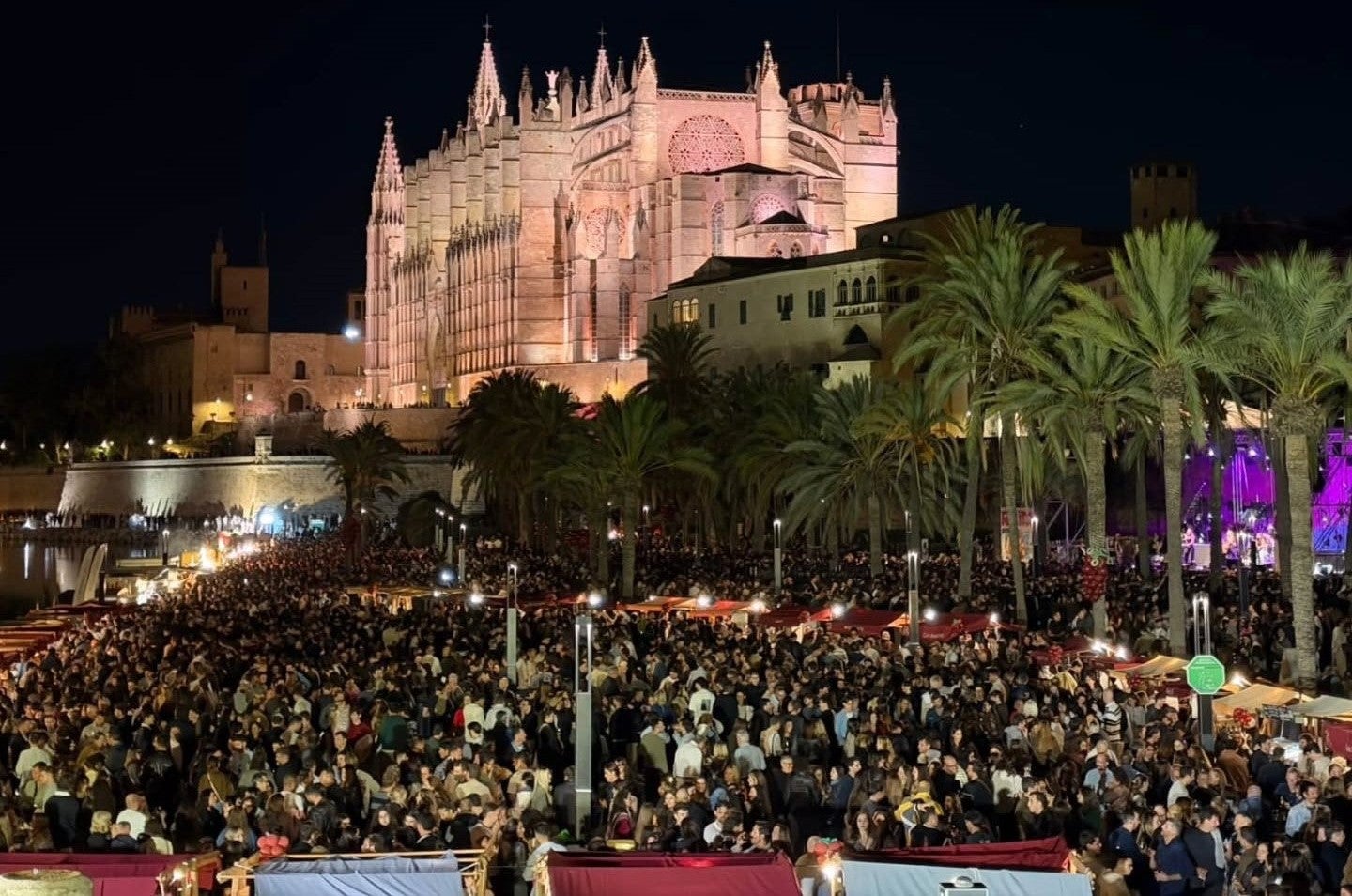 La imatge del Parc de la Mar ple de gom a gom s'ha reptit en aquesta III edició del Raïm Wine Fest de Palma. / M.V 